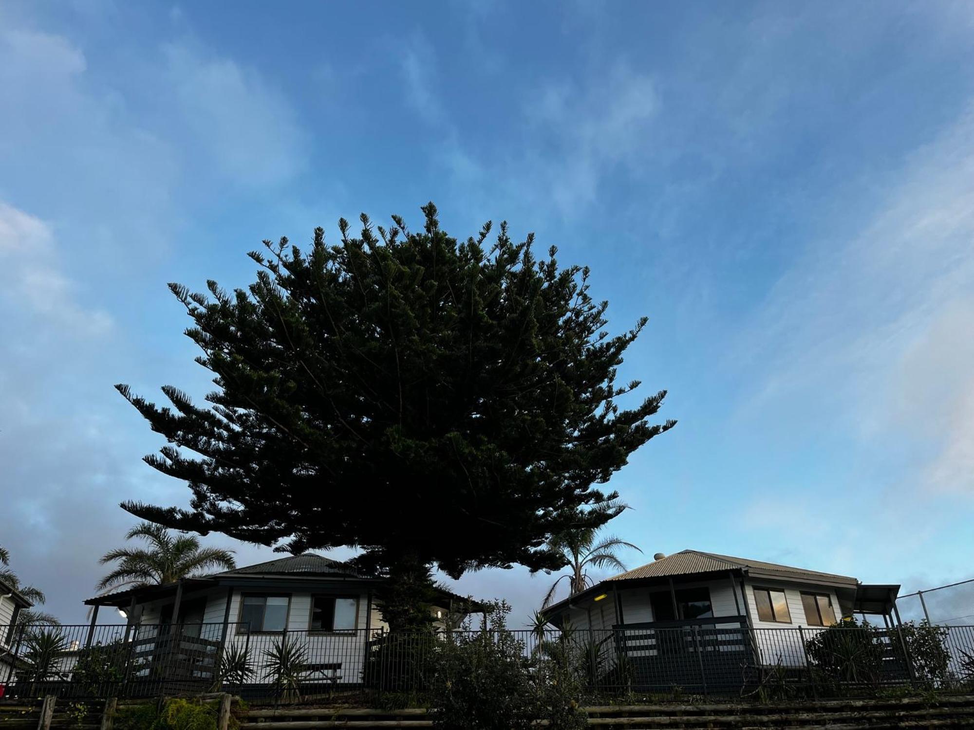 דה אינטרנס Shelly Beach Holiday Park מראה חיצוני תמונה