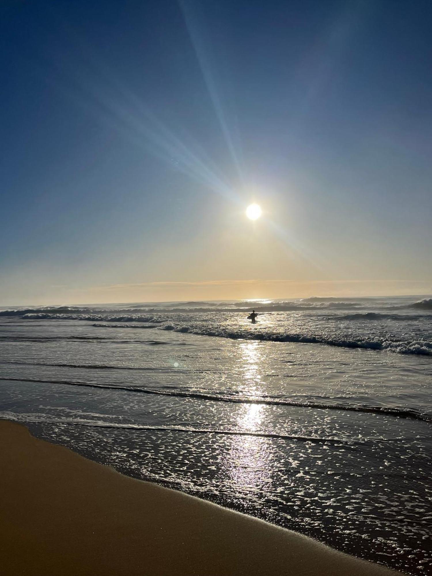 דה אינטרנס Shelly Beach Holiday Park מראה חיצוני תמונה